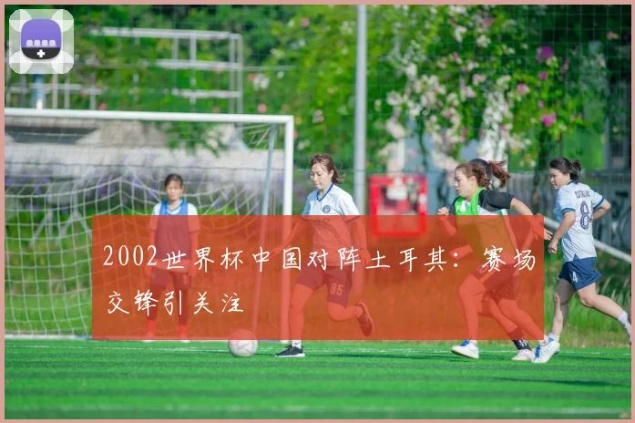 2002世界杯中国对阵土耳其:赛场交锋引关注